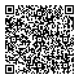 qrcode:http://www.coincoin.fr.eu.org/?74-countries-hit-by-NSA-powered-WannaCrypt-ransomware-backdoor-Emergency-fixes