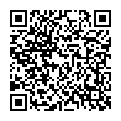 qrcode:http://www.coincoin.fr.eu.org/?4-years-long-amazing-sculpture