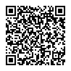 qrcode:http://www.coincoin.fr.eu.org/?1-internaute-sur-10-est-indien-un