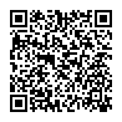qrcode:http://www.coincoin.fr.eu.org/?2013-Cyber-Attacks-Statistics