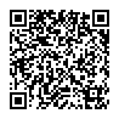 qrcode:http://www.coincoin.fr.eu.org/?2019-le-flux-encore-et-toujours-la