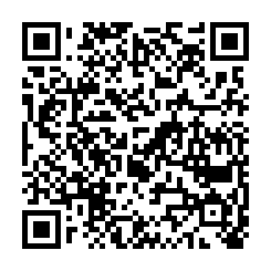 qrcode:http://www.coincoin.fr.eu.org/?1023-nouveaux-brevets-pour-Google