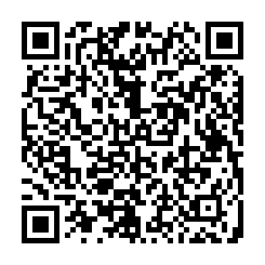 qrcode:http://www.coincoin.fr.eu.org/?62-sculptures-en-LEGO-grandioses