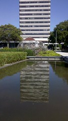 2011-05-21_17-02-30_346_Lille