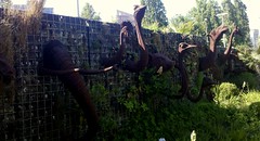 2011-05-21_17-08-58_30_Lille