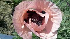 2011-05-21_17-05-33_665_Lille