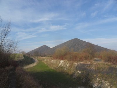209 - Tout in haut de ch'terril