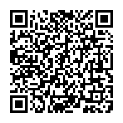 qrcode:https://www.coincoin.fr.eu.org/?2013-Cyber-Attacks-Statistics
