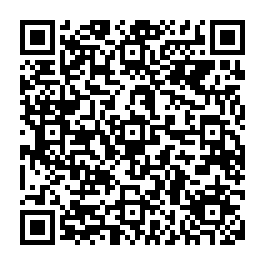 qrcode:https://www.coincoin.fr.eu.org/?1980-2025-Voiture-electrique-le-calme-avant-la-tempete