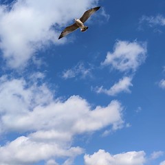 JPEG - 11.7 kio